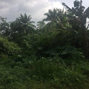 Meet your Posher, Porsche